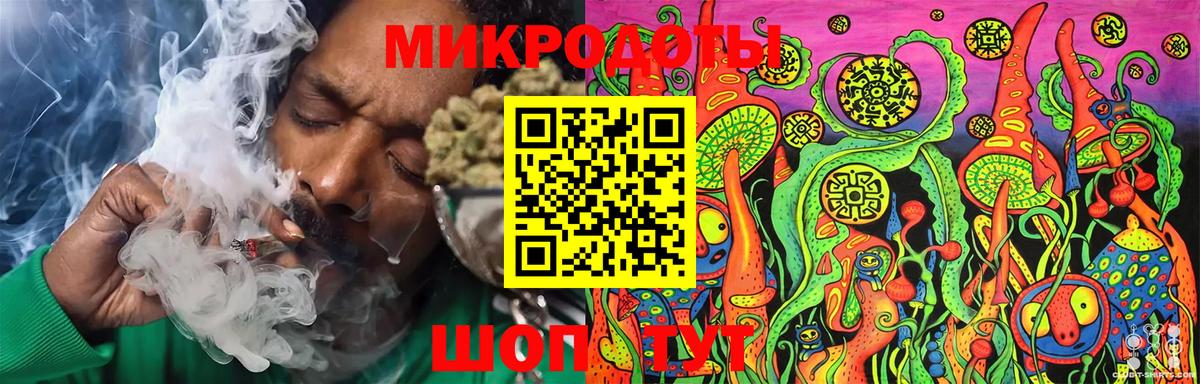Псилоцибиновые грибы Psilocybine cubensis Сунжа