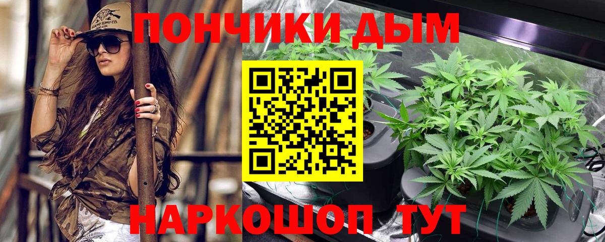 Шишки марихуана индика  Шишки марихуана ГИДРОПОН  Вход с VPN  Сунжа  МАРИХУАНА план 